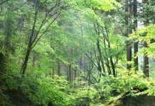 Suy niệm cùng cha E-ma. Tháng 01 ngày 28