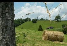 Suy niệm cùng cha E-ma. Tháng 01 ngày 23