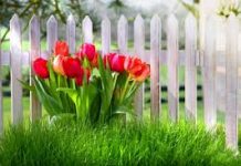 Suy niệm cùng cha E-ma. Tháng 01 ngày 22