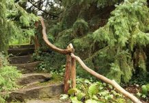 Suy niệm cùng cha E-ma. Tháng 02 ngày 15