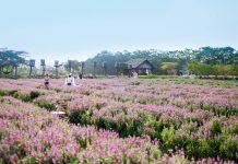 Cầu nguyện Tháng Hai