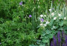 Tháng Tư, Ngày 26