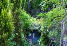 Tháng Tư, Ngày 25