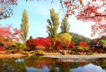 Tháng Tư, Ngày 28