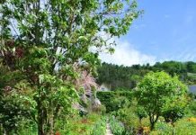 Suy niệm cùng cha E-ma. Tháng 4 Ngày 01