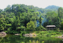 Tháng Tư, Ngày 29