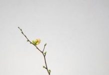 Ngày 11, Tháng Năm