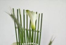 Ngày 13, Tháng Năm