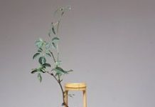 Ngày 26, Tháng Năm