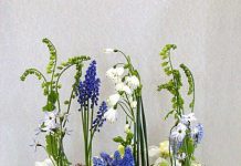 Ngày 19, Tháng Năm