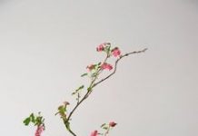 Ngày 17, Tháng Năm