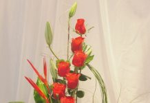 Ngày 18, Tháng Năm