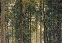 Tháng Năm, Ngày 15