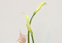 Ngày 30, Tháng Năm