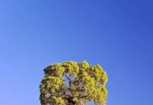 Tháng Năm, Ngày 28