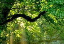 Tháng Năm, Ngày 27