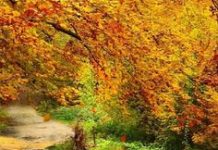 Tháng Năm, Ngày 25