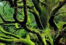 Tháng Năm, Ngày 19