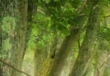 Tháng Năm, Ngày 10