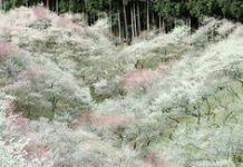 Tháng Năm, Ngày 11