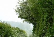 Tháng Năm, Ngày 14