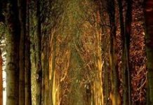 Tháng Năm, Ngày 12