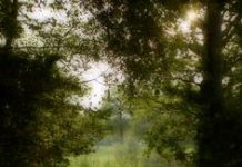 Cầu nguyện Tháng Tám