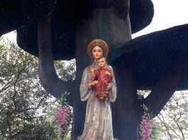 MỪNG LỄ MẸ LA VANG- BỔN MẠNG CỘNG ĐOÀN NHÀ CHÍNH.