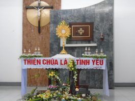 Tỉnh dòng Nữ Tỳ Thánh Thể Việt Nam chầu thay Giáo phận