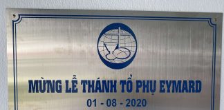 Cảm nghiệm khi vào miền đất mới