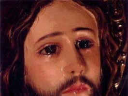 Nhật Ký…Tình nguyện viên.