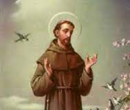 Chúc Mừng Bổn mạng lớp Đồng Hành 8