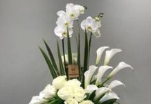 Ngày 22 Tháng Mười Một