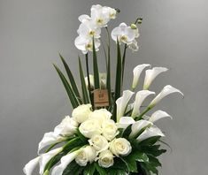 Ngày 22 Tháng Mười Một