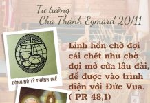 Ngày 20 Tháng Mười Một