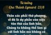 Ngày 23 Tháng Tám