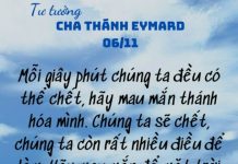 Ngày 06 Tháng Mười Một