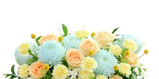 Tỉnh Dòng Việt Nam Chúc mừng Chị Tân Giám Tỉnh và Ban Cố Vấn Tỉnh