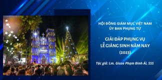 GIẢI ĐÁP PHỤNG VỤ LỄ GIÁNG SINH NĂM NAY (2023)