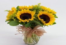 Ngày 07 Tháng Năm