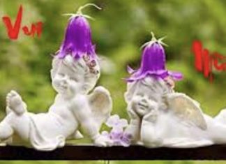 Chúa Nhật III mùa Vọng – năm A