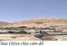 CHÚA NHẬT THỨ I MÙA CHAY NĂM A