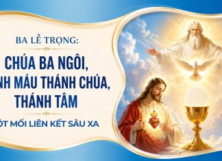 Ba lễ trọng: Chúa Ba Ngôi, Mình Máu Thánh Chúa, Thánh Tâm – Một mối liên kết sâu xa