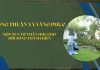 Đồng Thuận và Vâng Phục – Một suy tư thần học cho đời sống thánh hiến