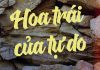 My Catholic Morals! – Bài 3: Hoa trái của Tự do