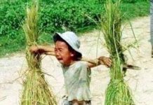 CHÚA NHẬT XIV THƯỜNG NIÊN NĂM A
