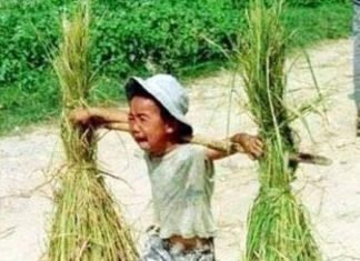 CHÚA NHẬT XIV THƯỜNG NIÊN NĂM A