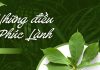 My Catholic Morals! – Bài 2: Các Mối Phúc