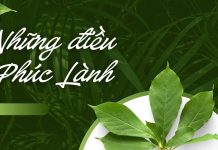 My Catholic Morals! – Bài 2: Các Mối Phúc