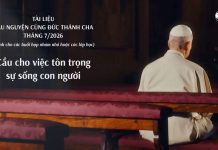 Tài liệu cầu nguyện cùng Đức Thánh cha – Tháng 7/2026: cầu nguyện cho việc tôn trọng sự sống con người